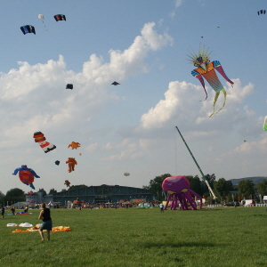 Detmold 2011