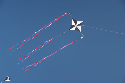 Tversted 2011